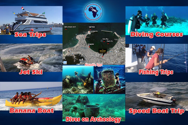 diving center flayer back